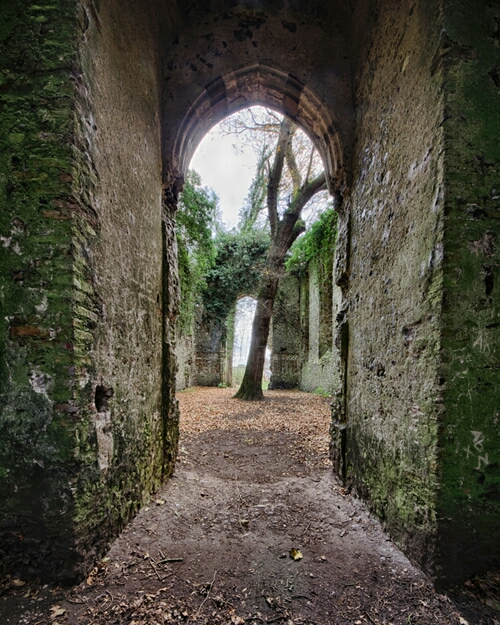 This is a proper old ruin in Norfolk UK. I love how the tree is growing in the middle.