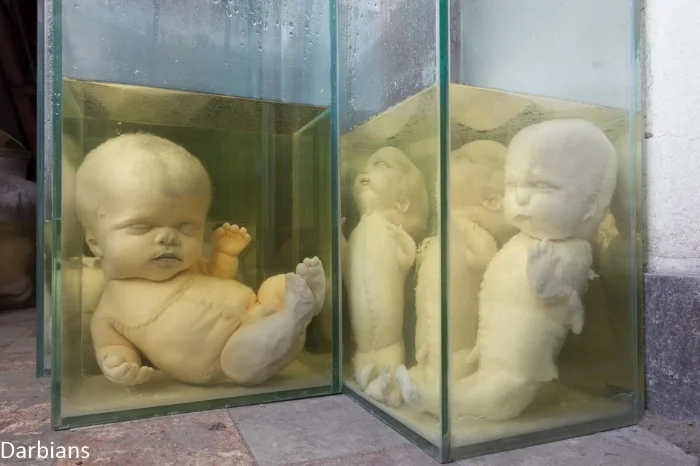 Abandoned: Little miracles