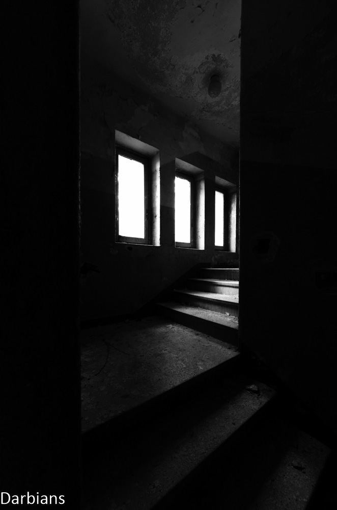CMP_9590.jpg