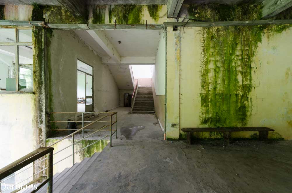 CMP_0158.jpg