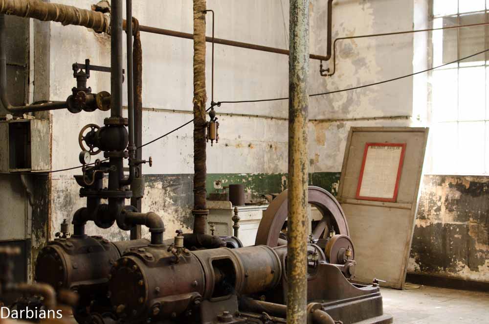 CMP_6802.jpg