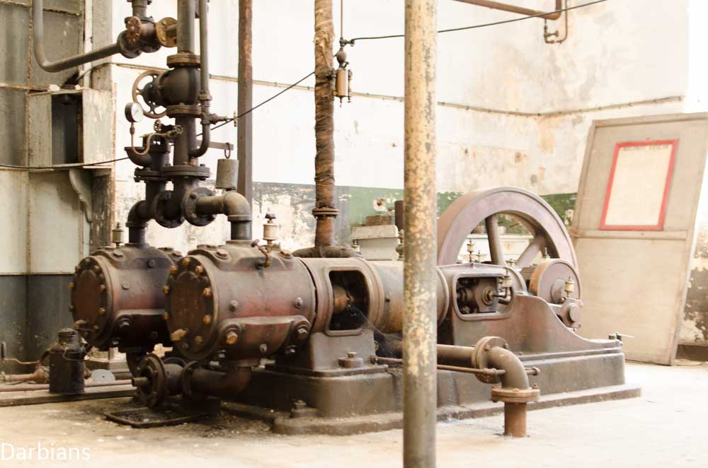 CMP_6805.jpg