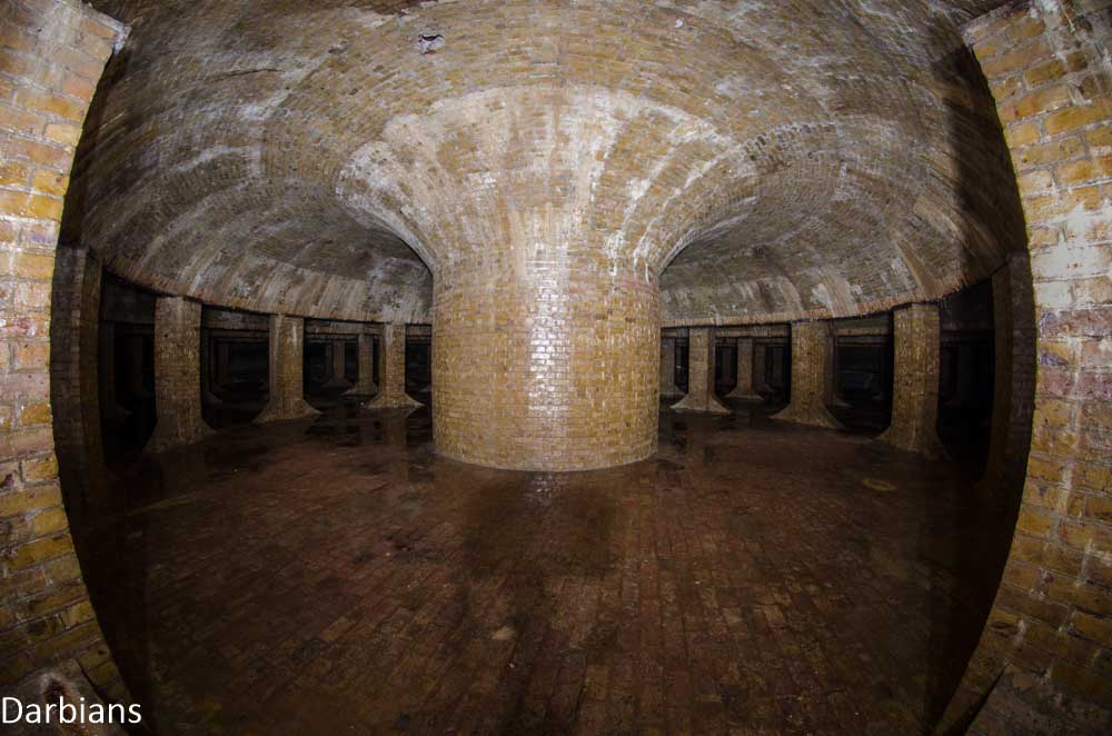 CMP_7237.jpg