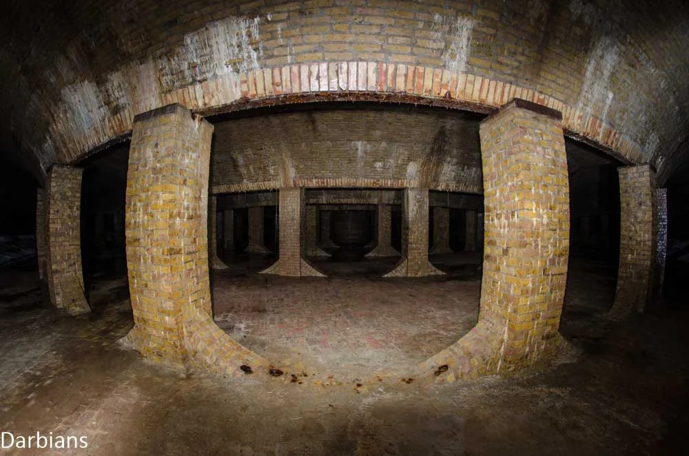 CMP_7246.jpg