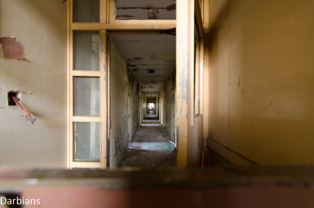 CMP_0019.jpg