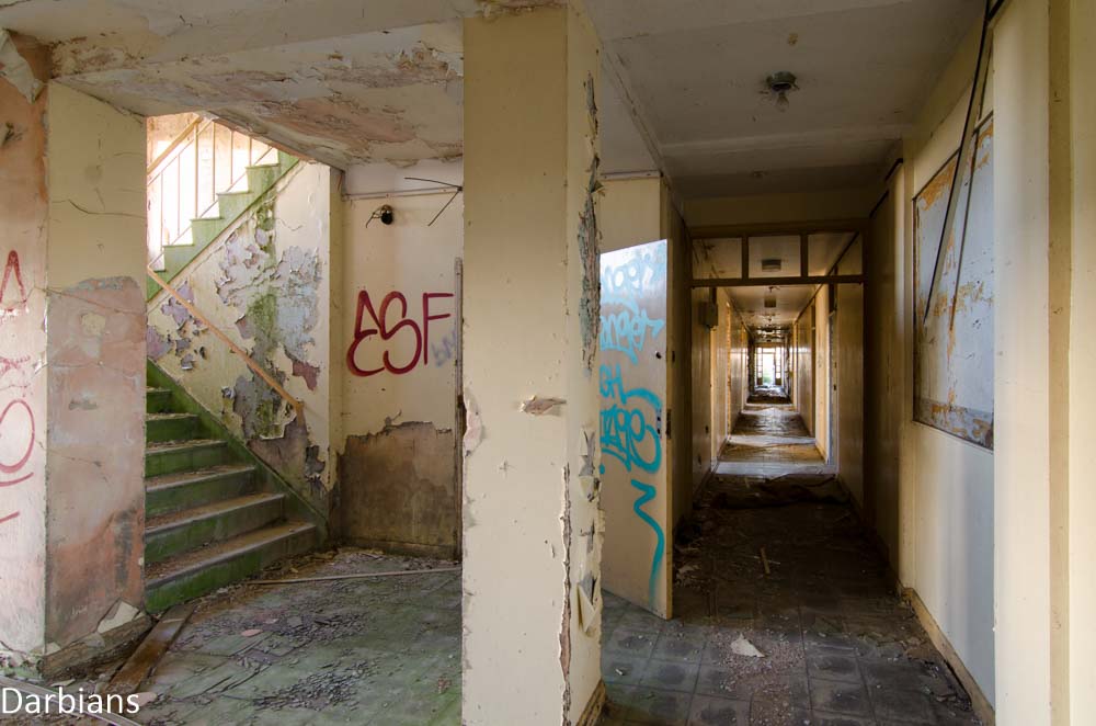 CMP_0055.jpg