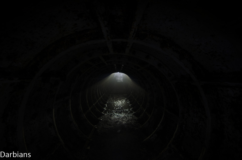 CMP_0823.jpg