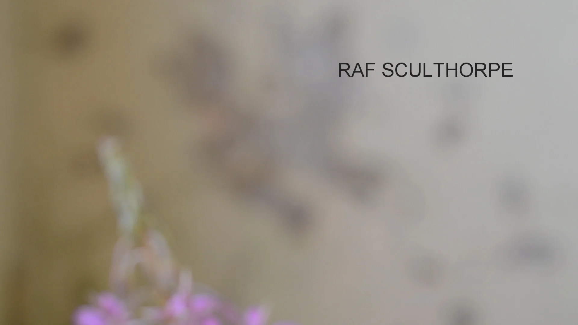 Abandoned: RAF Sculthorpe 