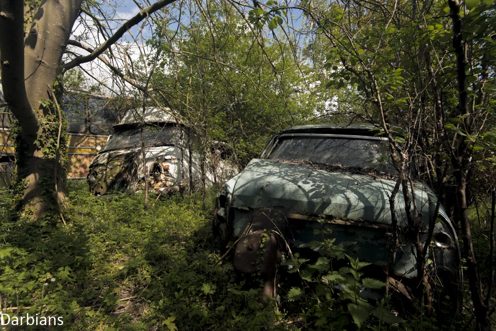 DSC_4470.jpg