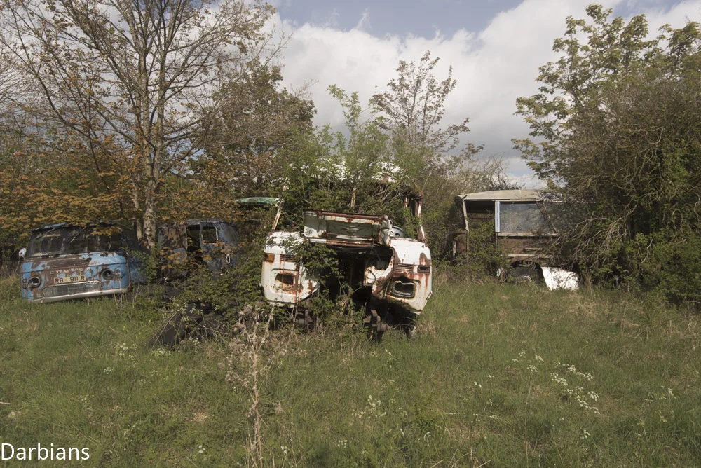DSC_4473.jpg
