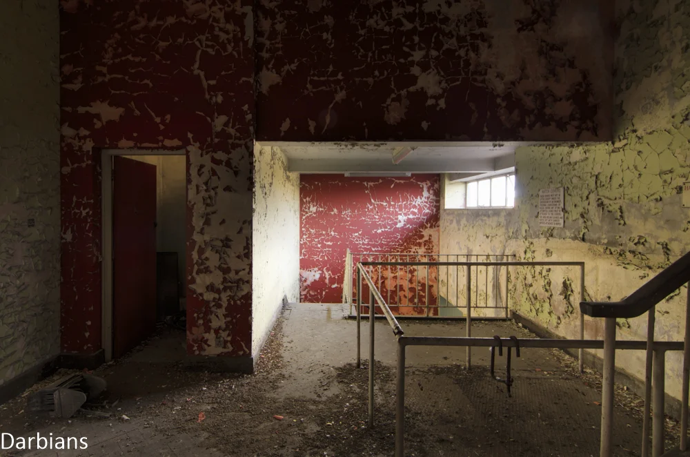 CMP_6608-Edit-Edit.jpg