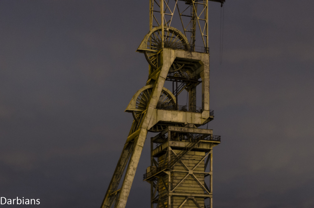 CMP_5696.jpg