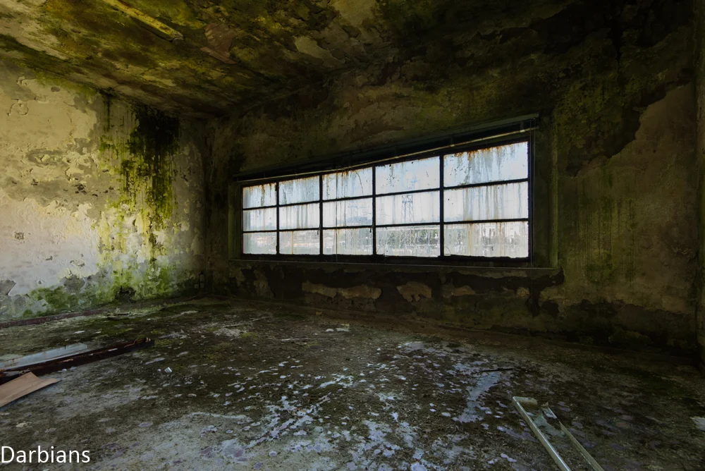 DSC_7525-Edit-2.jpg