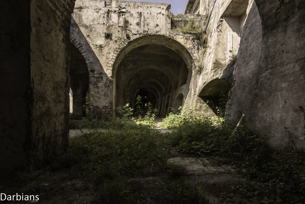 DSC_7674-Edit.jpg