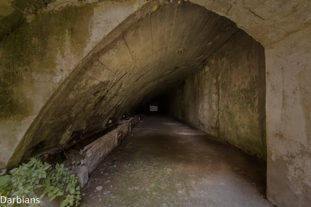 DSC_7678-Edit.jpg