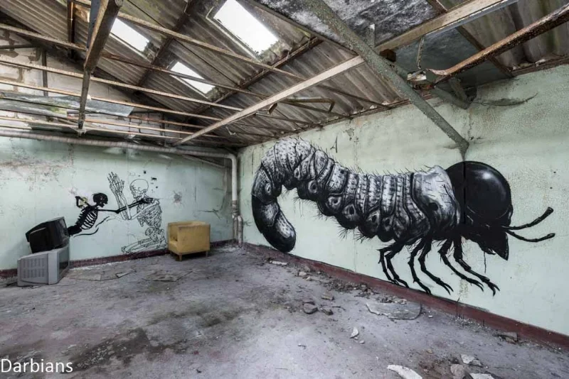 Klaas Van Der Linden and ROA