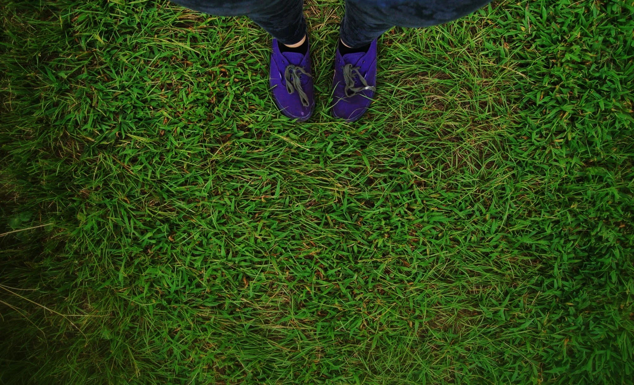 DSC_1861.jpg