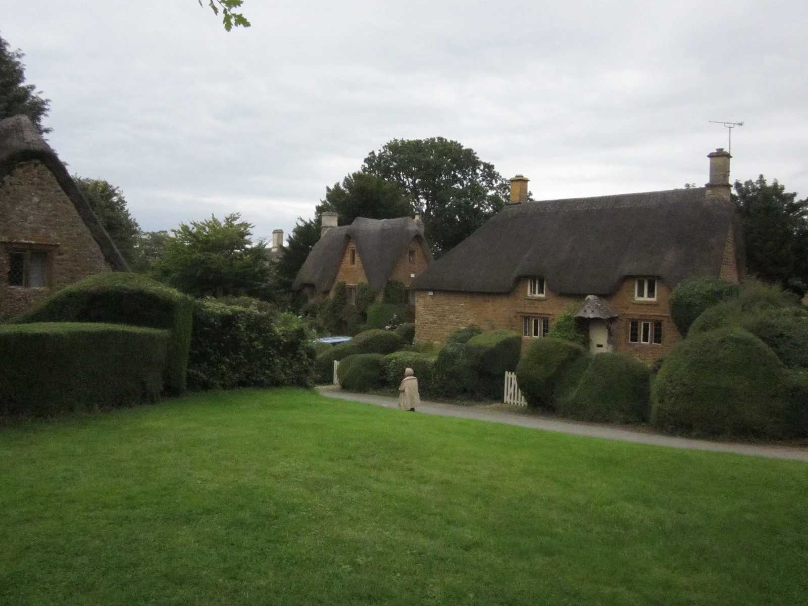 A view of Great Tew, thatched roofs and boxwood hedges