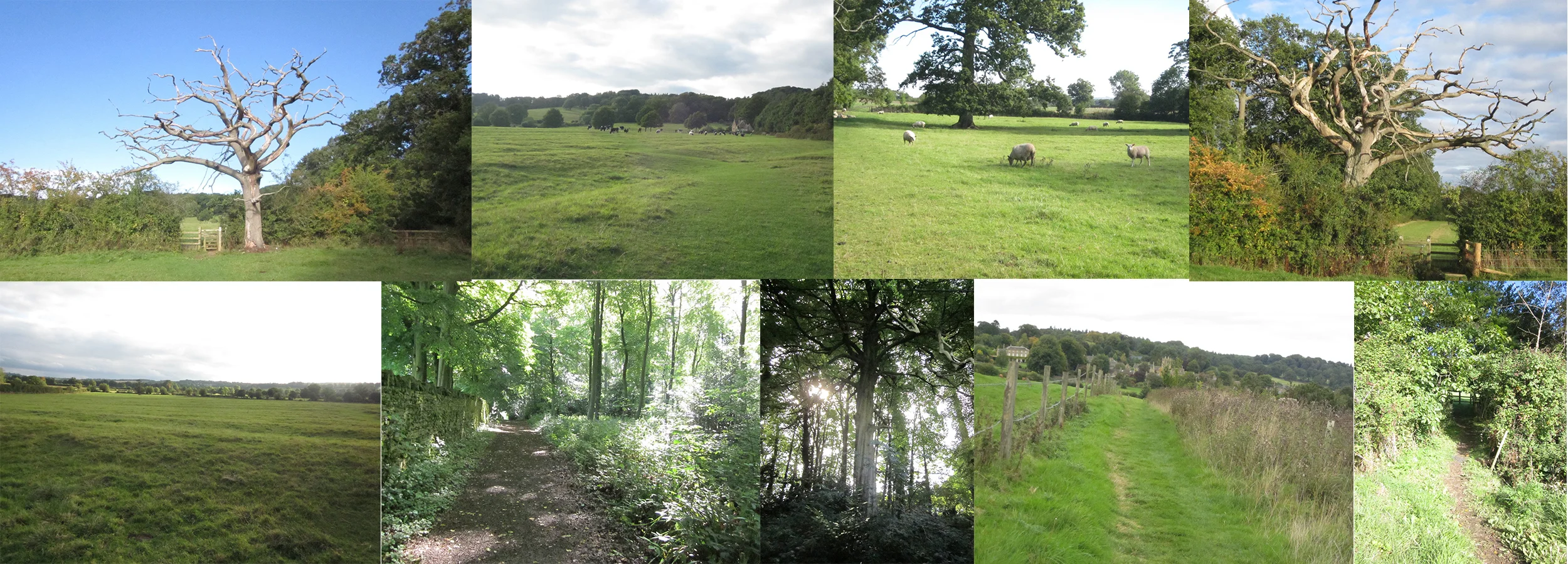 A variety of views on the walk from Moreton in Marsh to Batsford, to Bourton on the Hill, to Sezincote.
