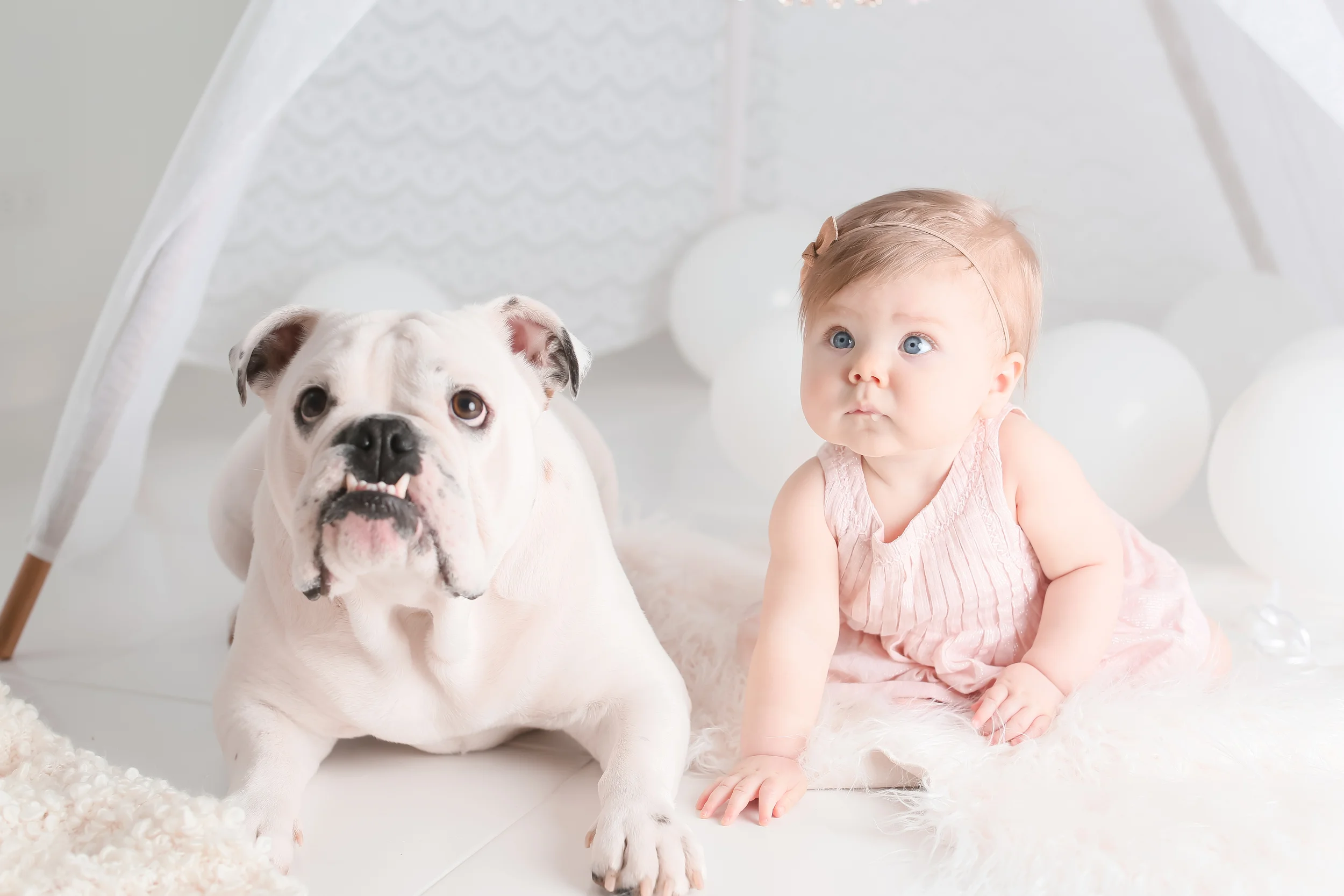 The look on Sophie's face says it all: "What?! Our photo session with Jenny is coming to an END?! Noooooo....."
