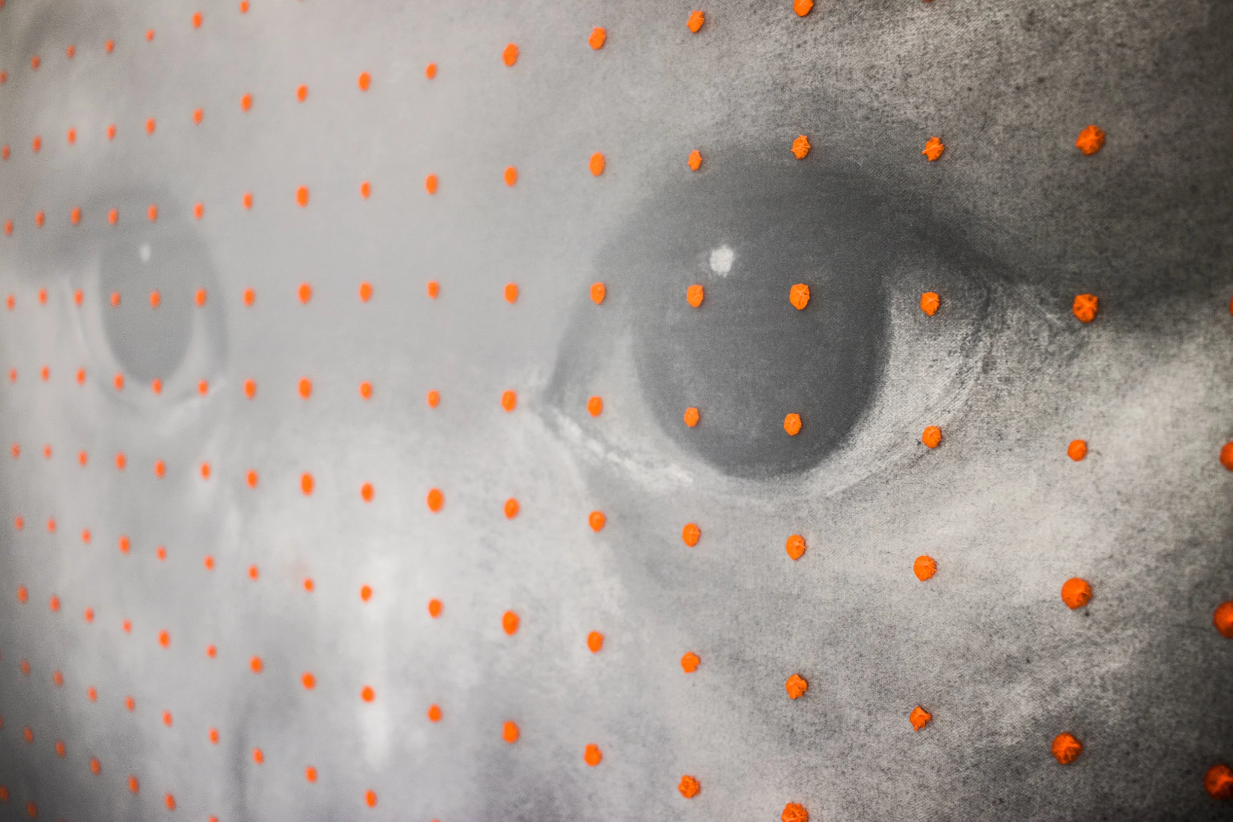 First-500-Days---detail.jpg