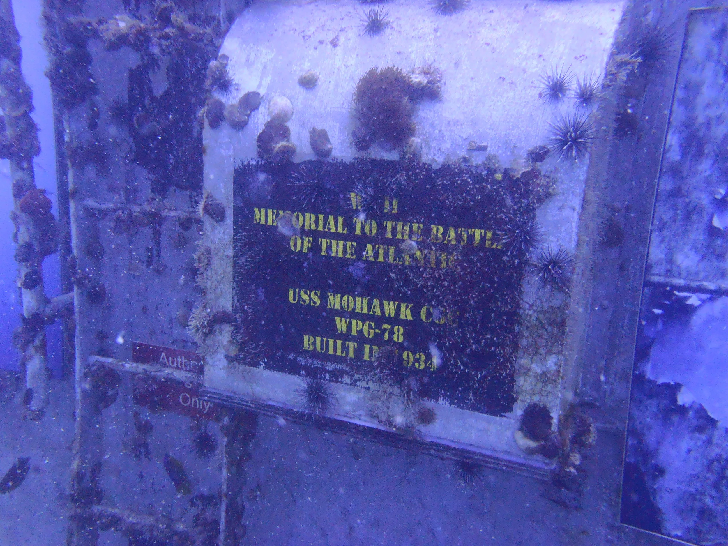 USCGC Mohawk