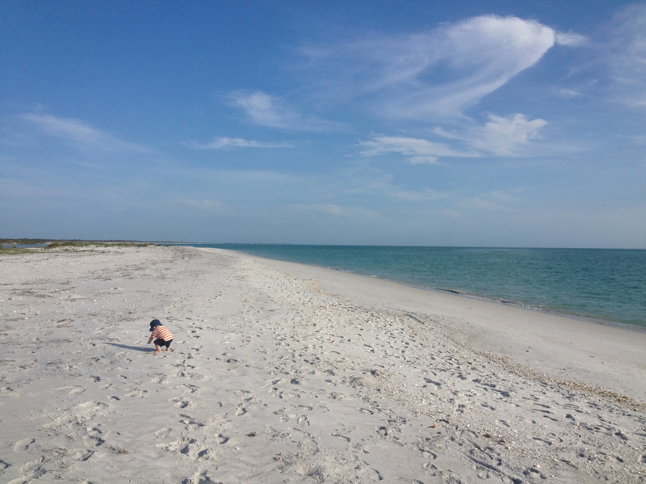 The beach at Cayo Costa