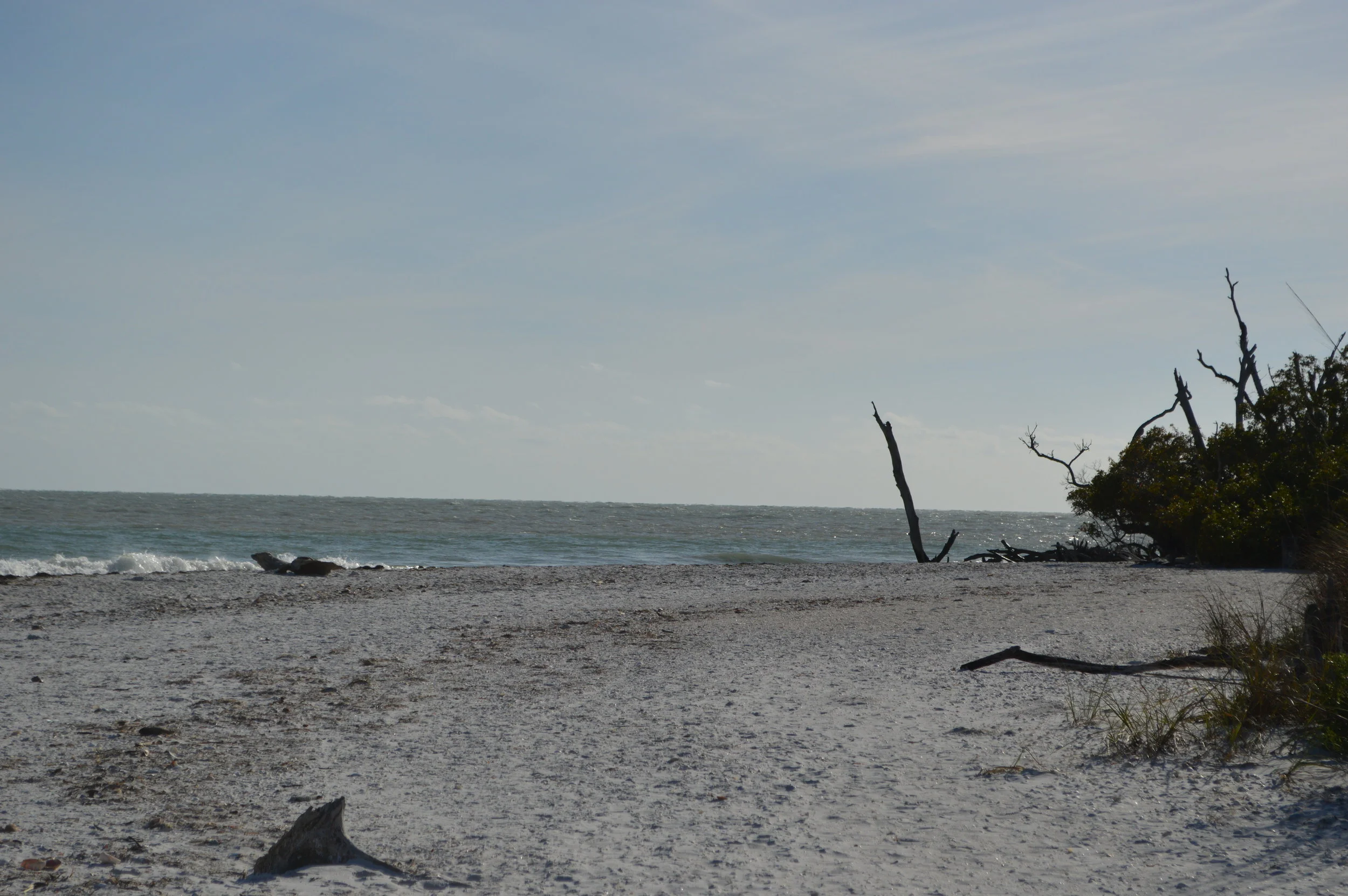 The beautiful, secluded beach at Cayo Costa