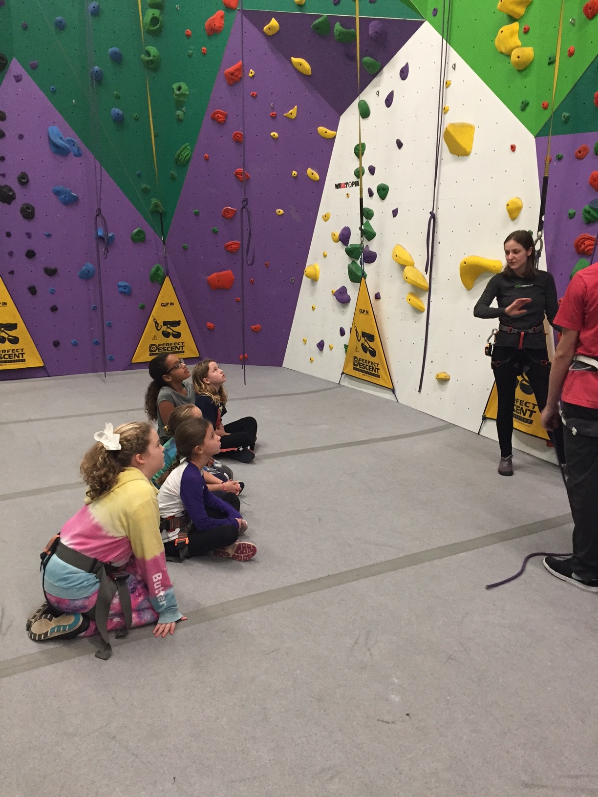 Onsight Rock Gym • Indoor Rock Climbing • Knoxville, TNScouts