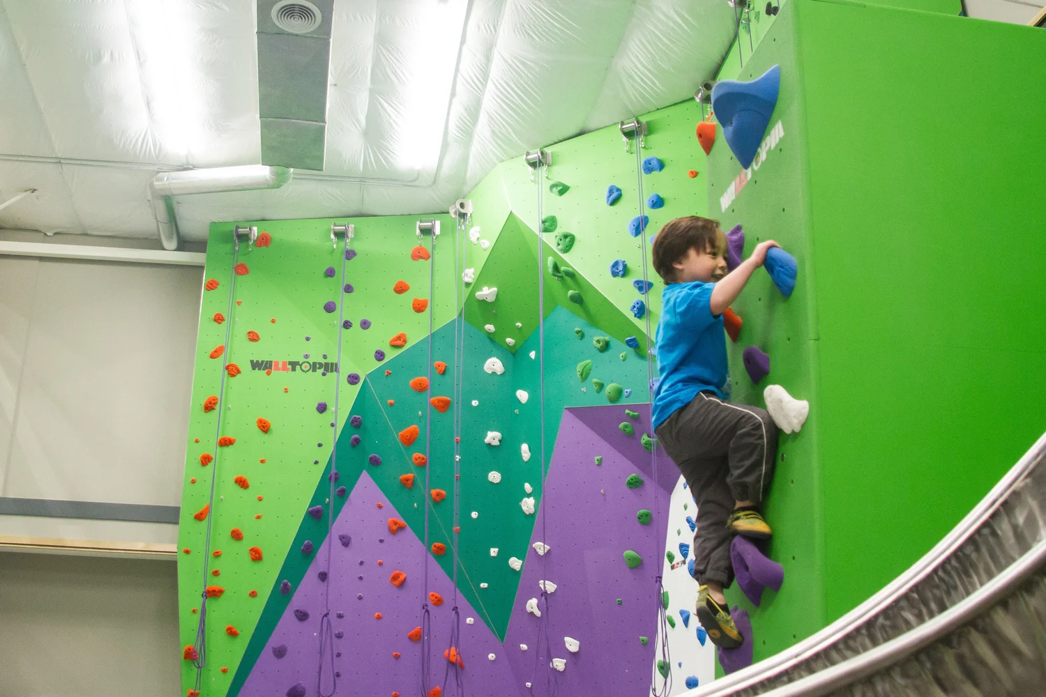 Onsight Rock Gym • Indoor Rock Climbing • Knoxville, TNRecreational