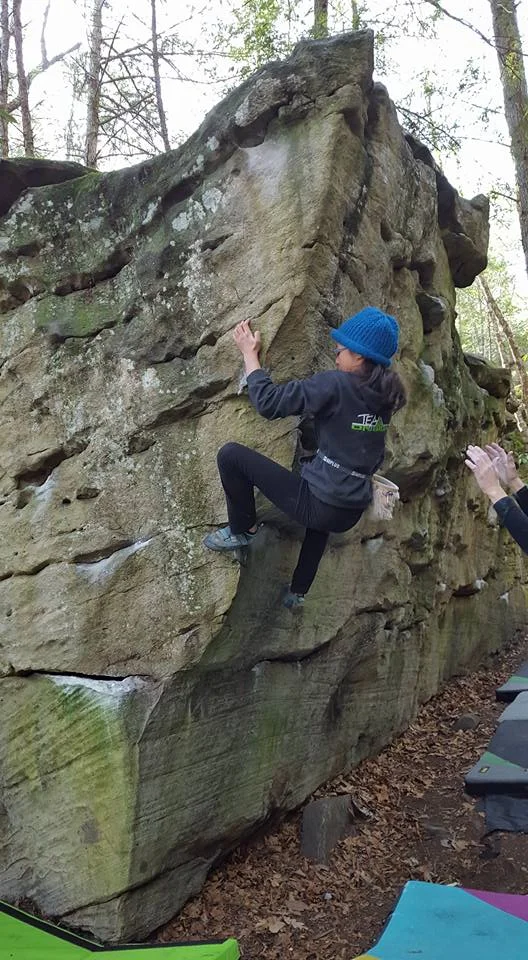 Onsight Rock Gym • Indoor Rock Climbing • Knoxville,