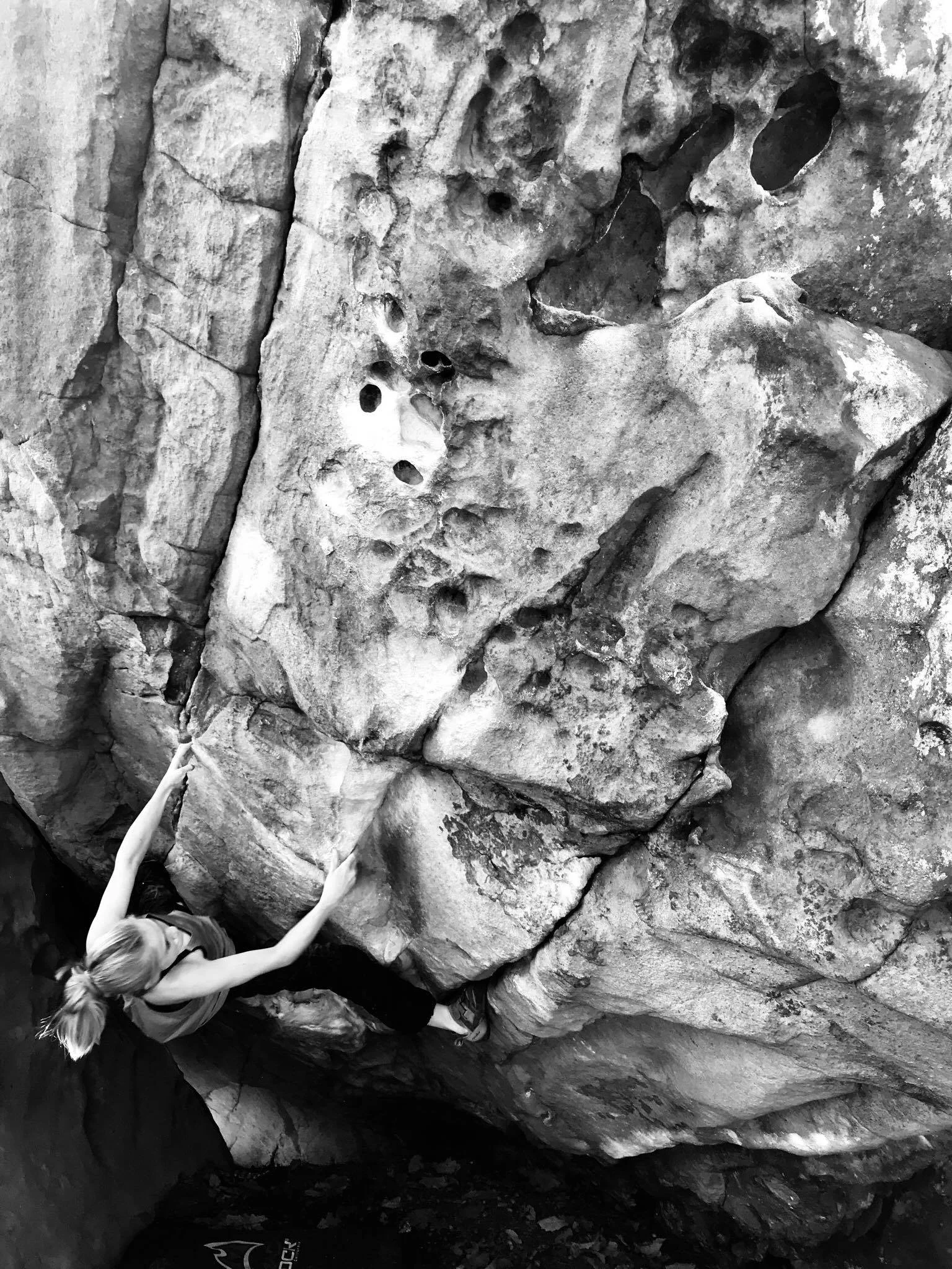 Onsight Rock Gym • Indoor Rock Climbing • Knoxville,