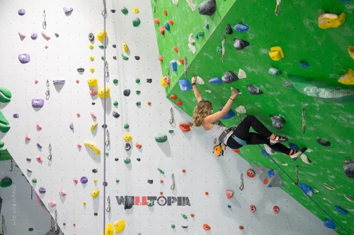 Climber