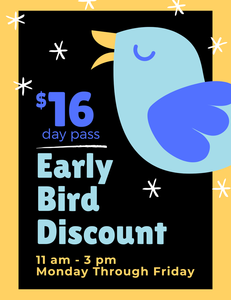 Early Bird Summer Discount