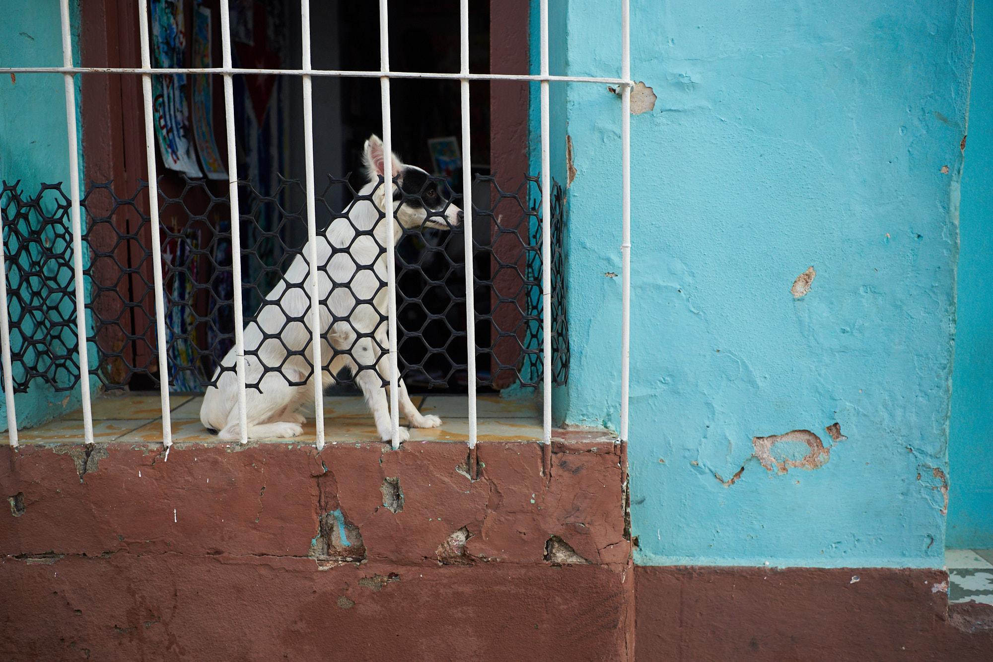 18-01-12-Cuba_2844Web.jpg