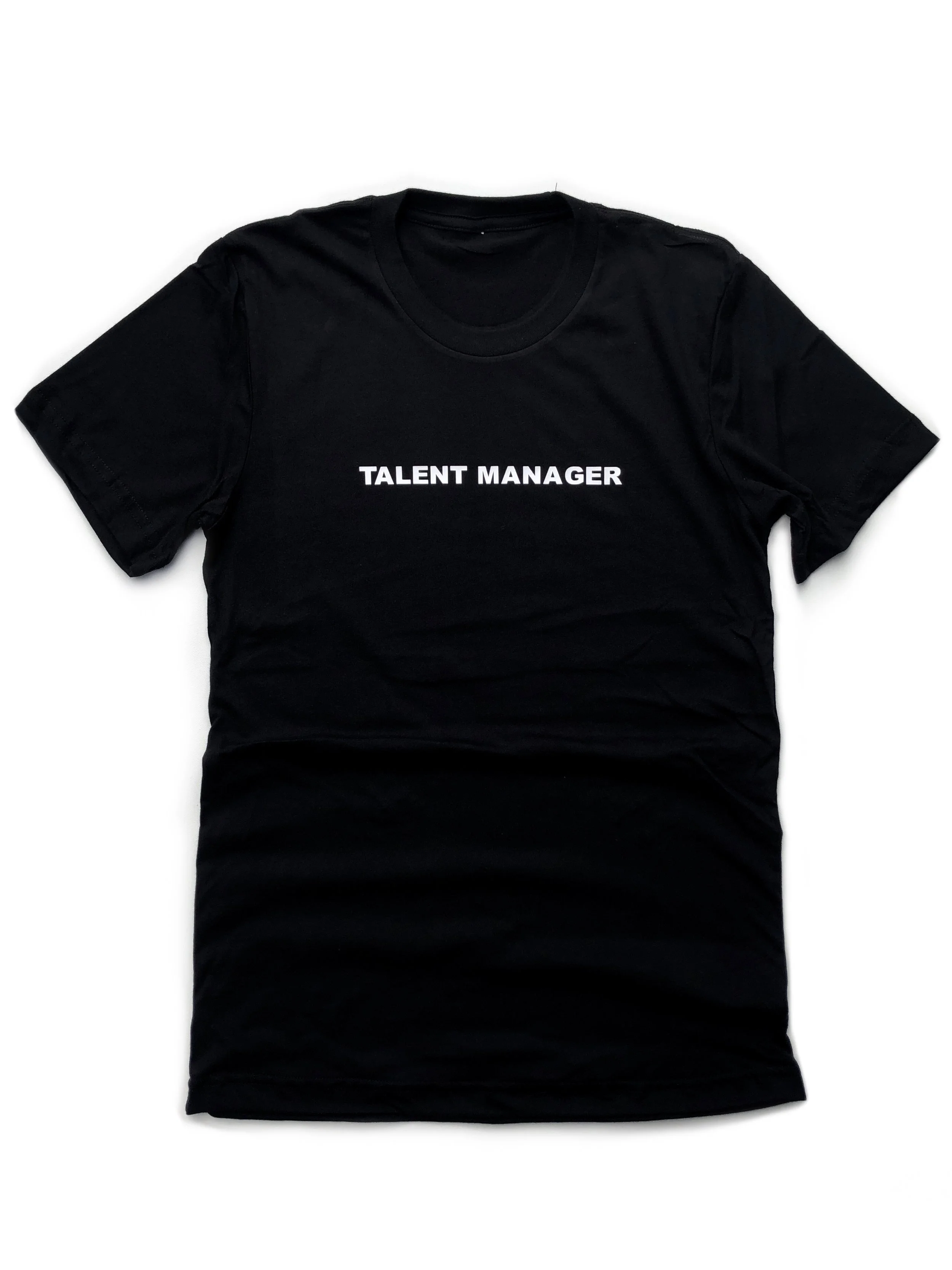 THE TALENT MANAGER 