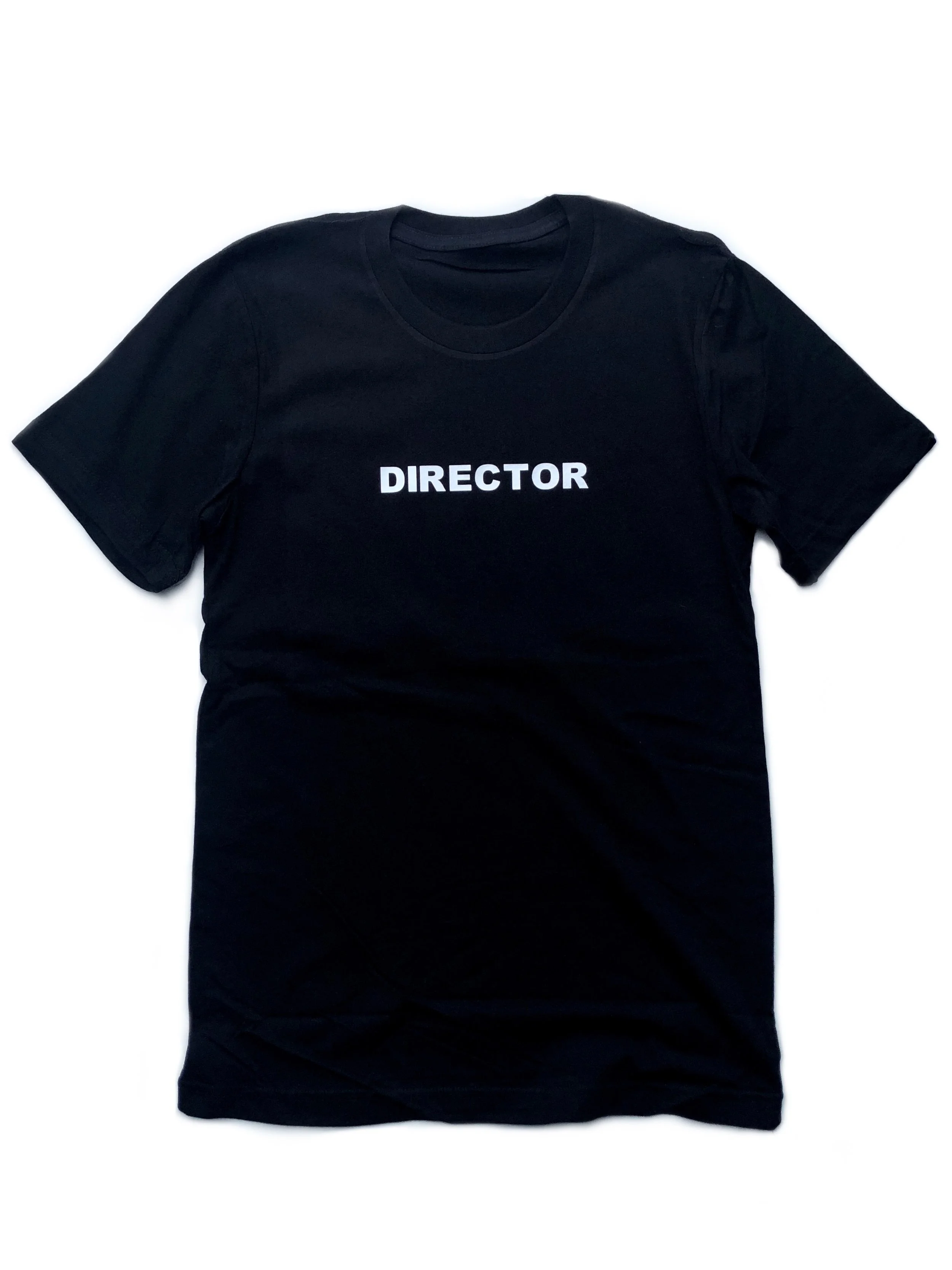 THE DIRECTOR 