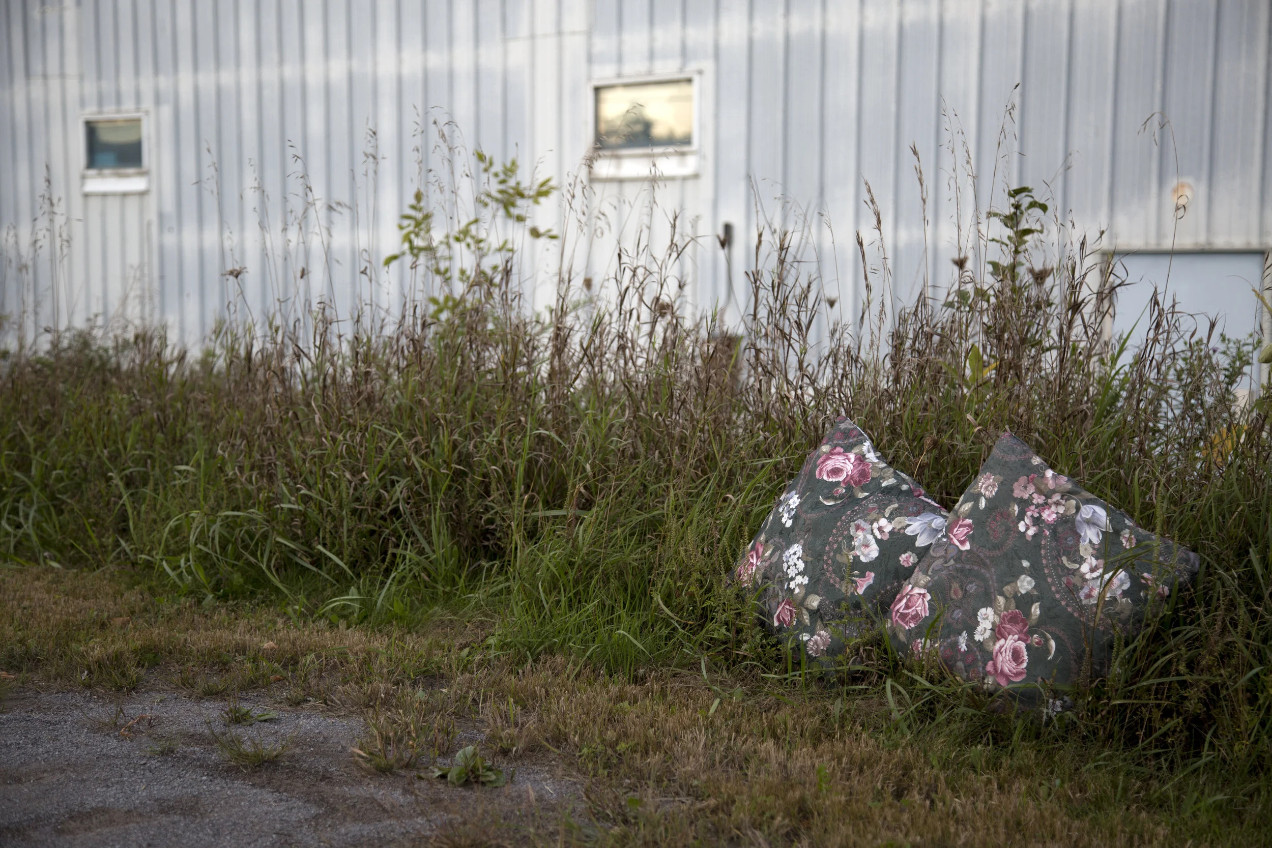 Amber Helene Muller St Thomas.jpeg