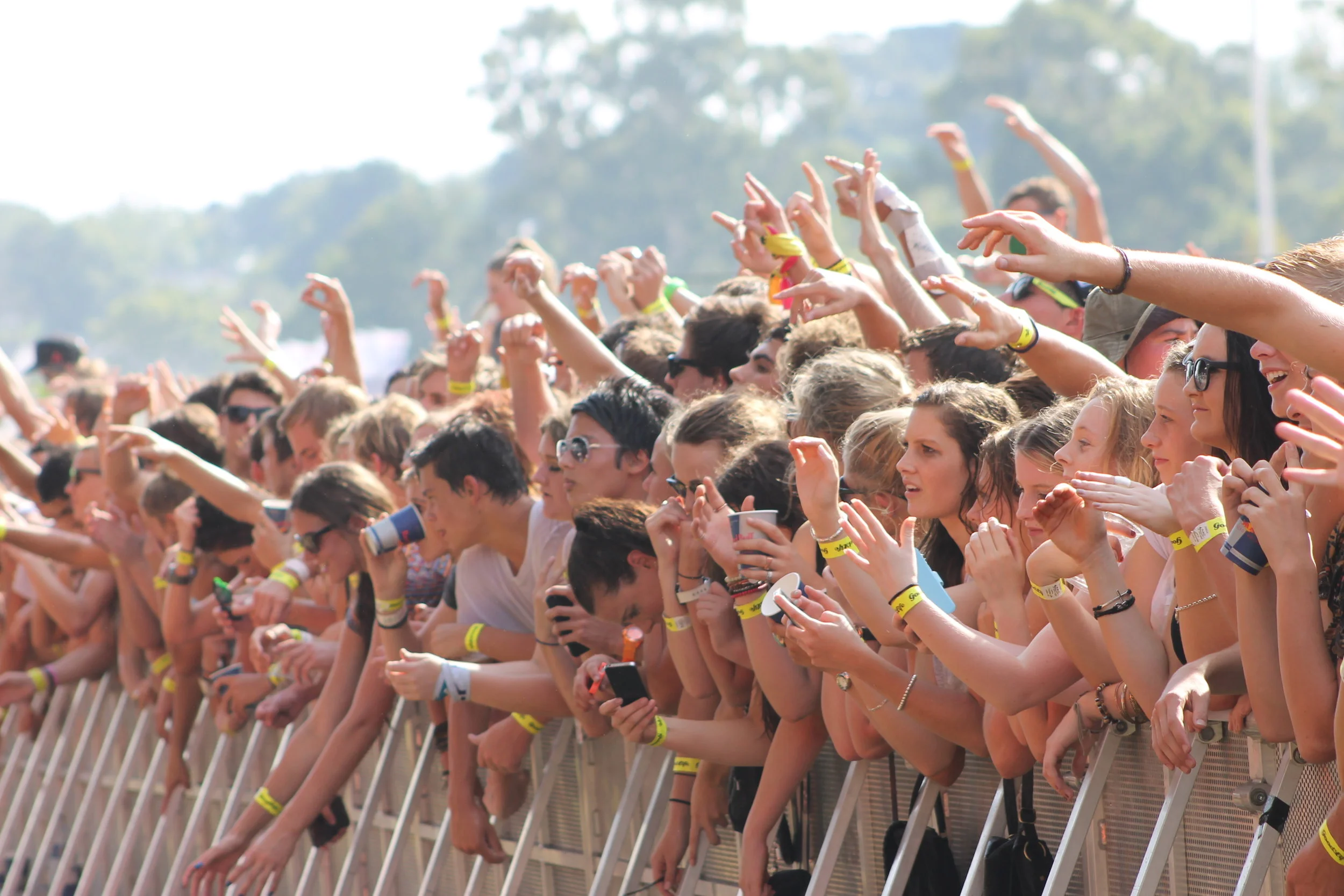Gold  - Music stage barrier2.JPG
