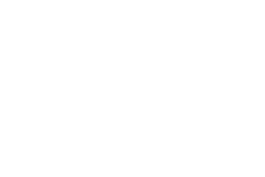 PFA.png