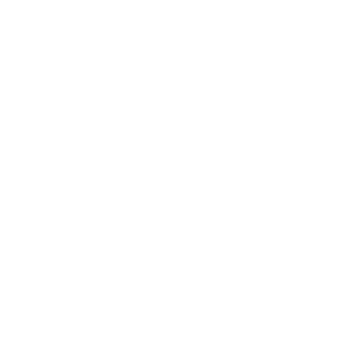 Melbourne City.png