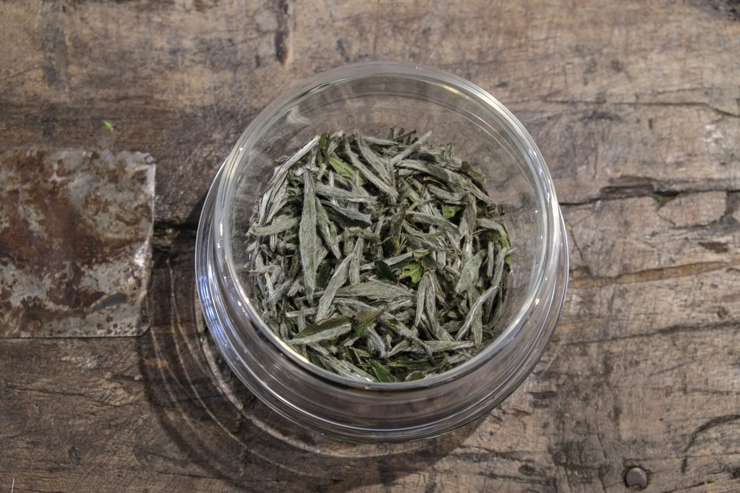 zakti White Down Silver Needle