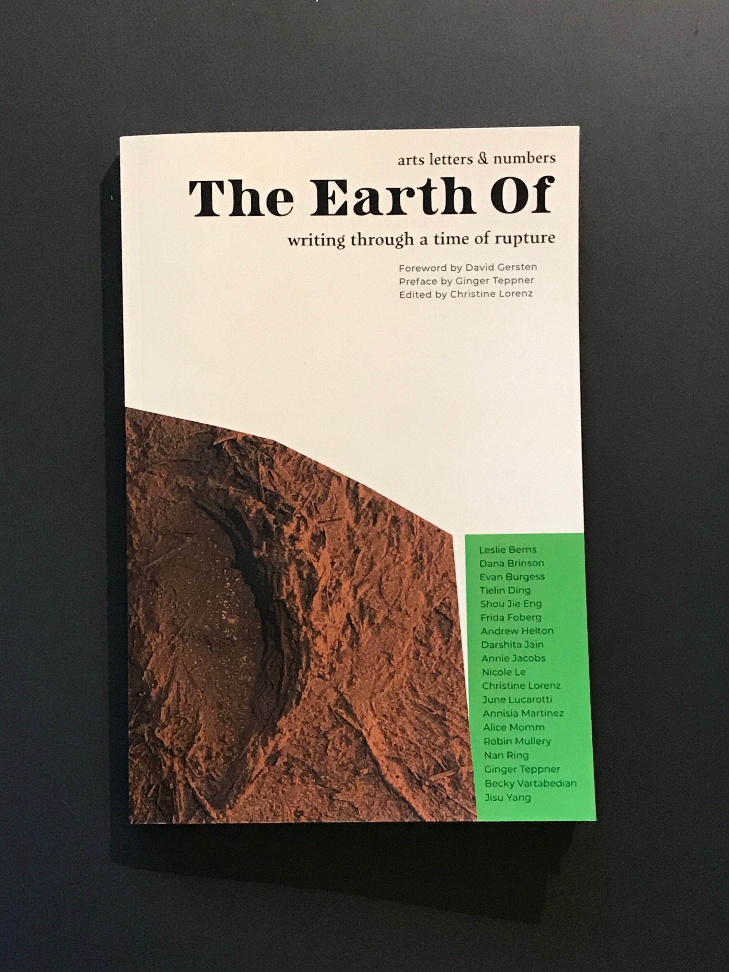 The Earth Of: Writing Through a Time of Rupture, 2020