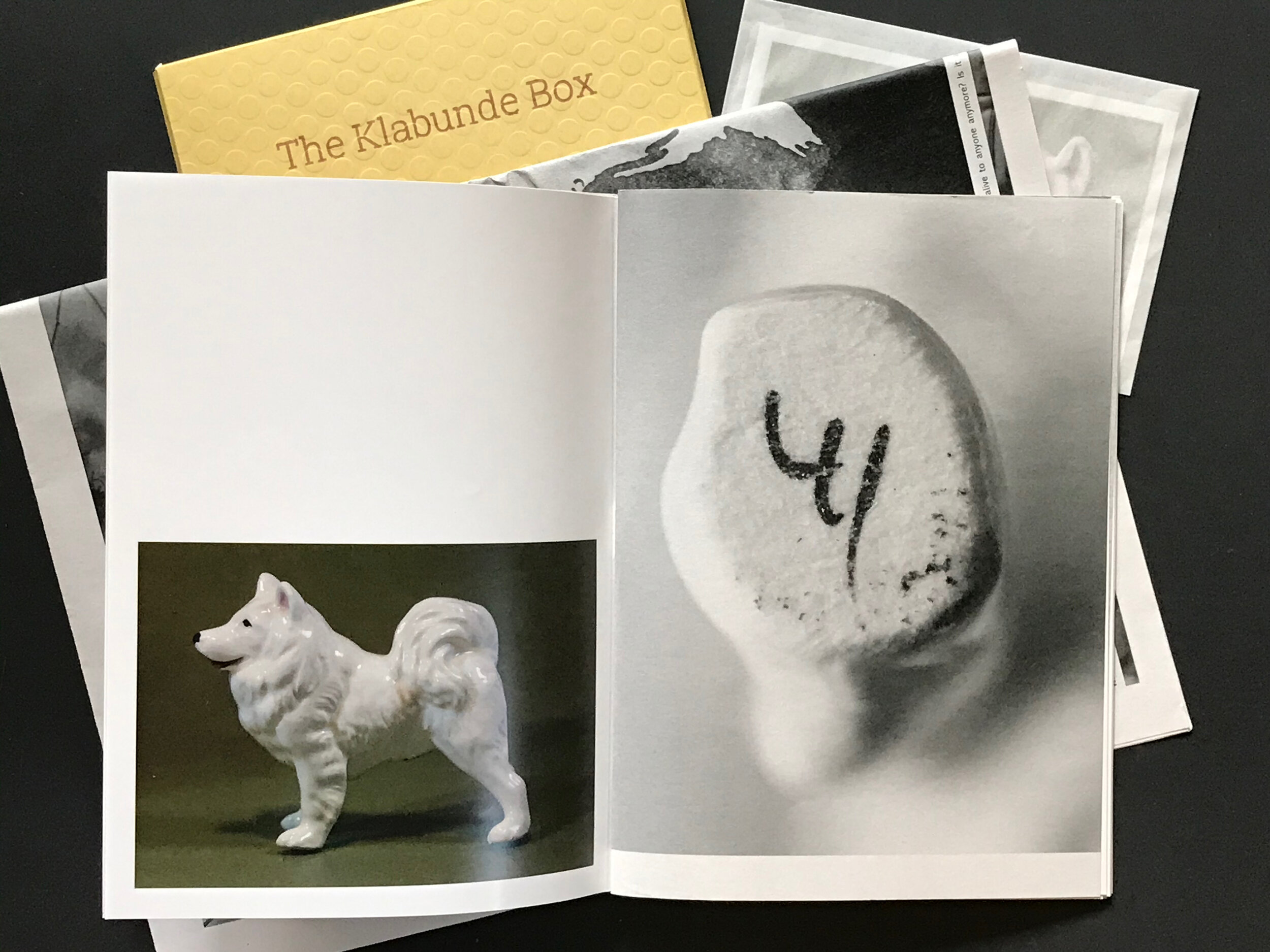 The Klabunde Box: Artist's Book, 2020