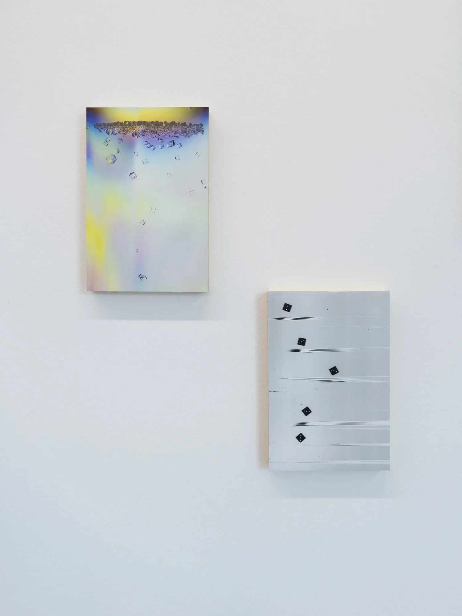 De-Constructed (Left: Halophilic 3-3633)