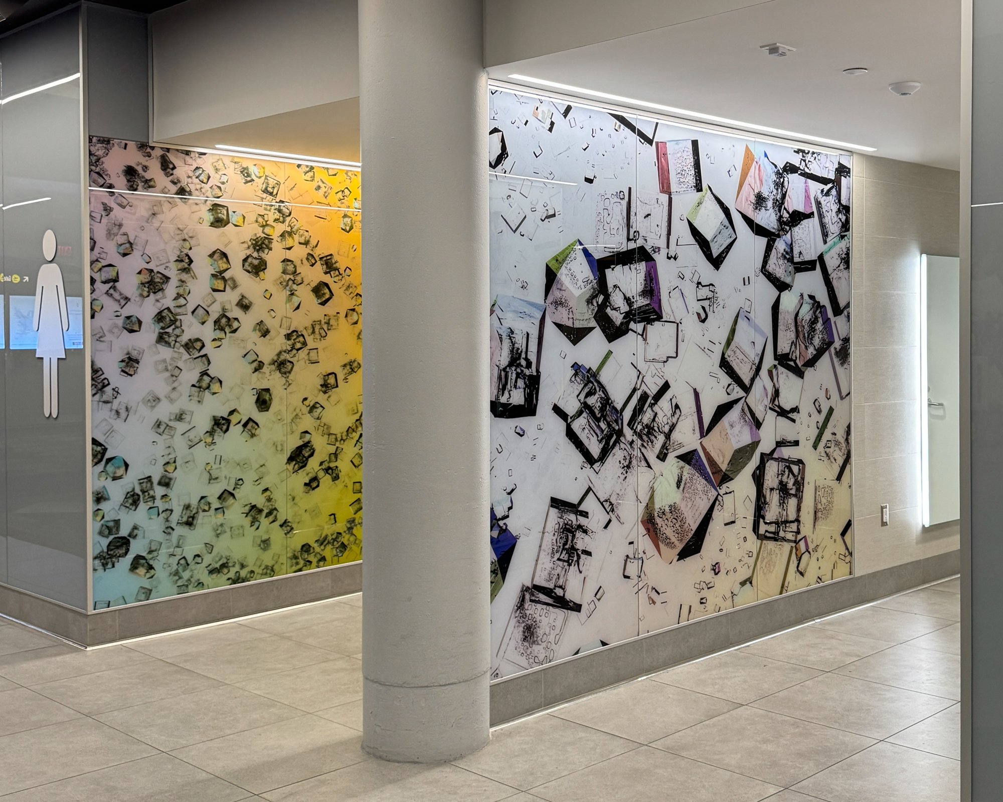 Halophilic 2-ACAA (On a Molecular Level) 