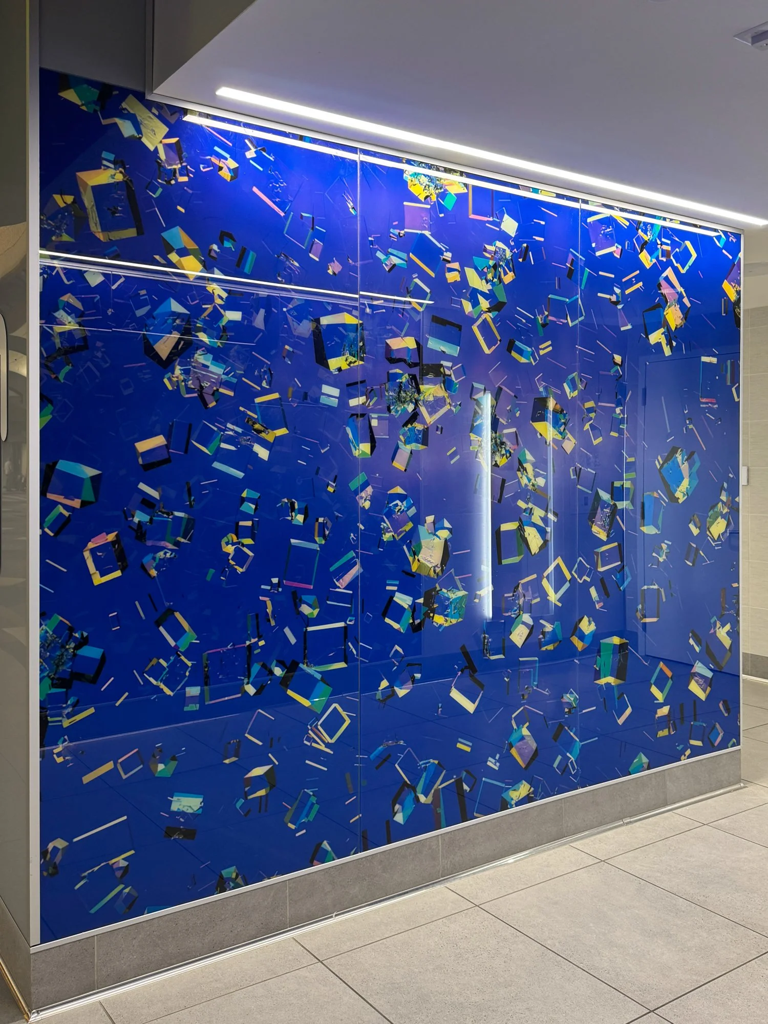 Halophilic 2-ACAA (On a Molecular Level)