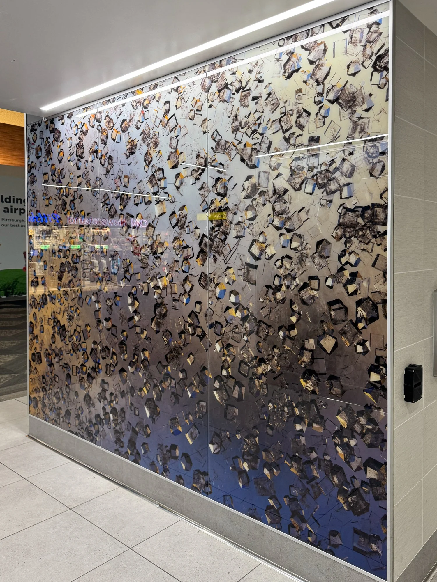 Halophilic 2-ACAA (On a Molecular Level)