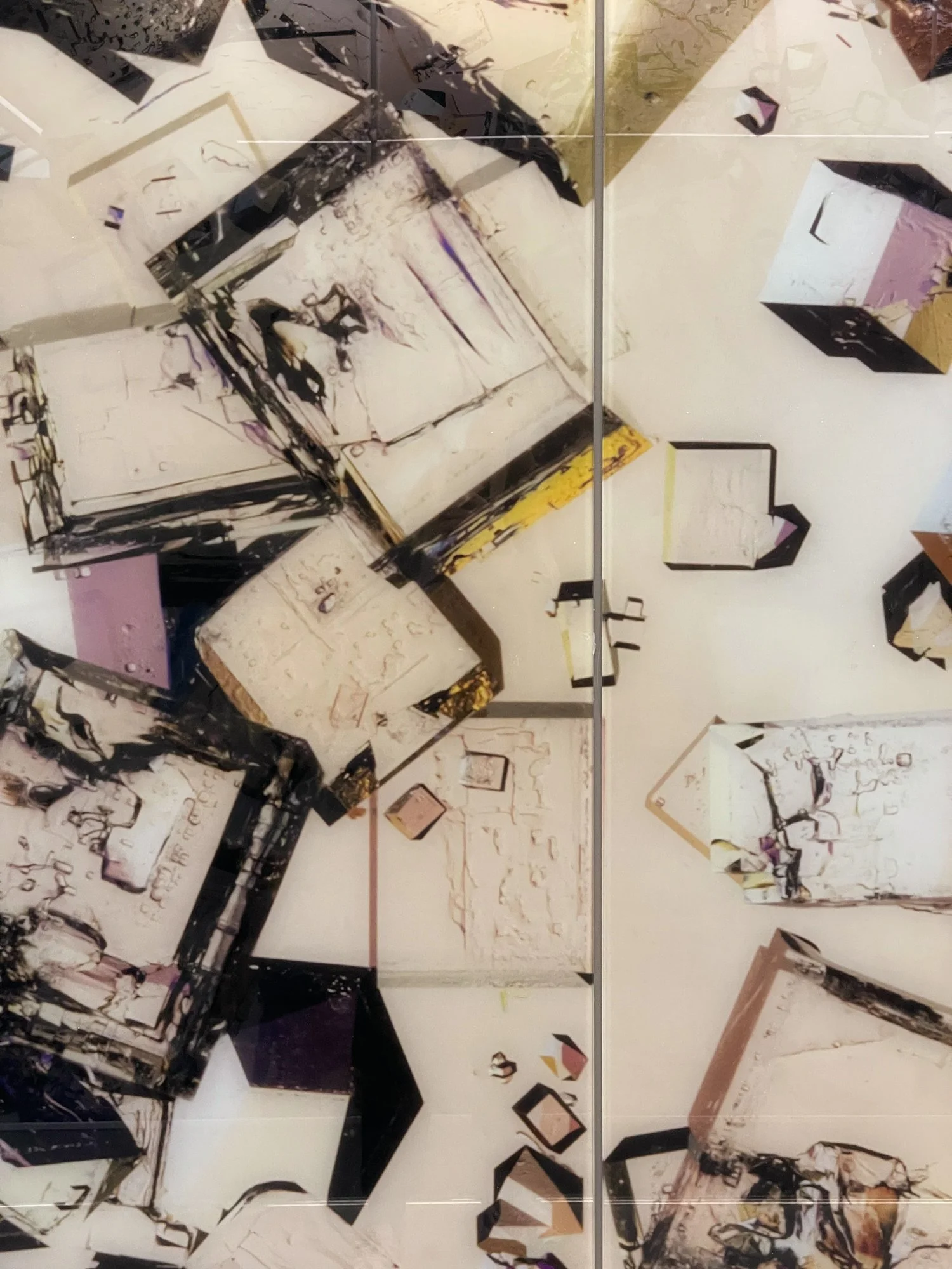 Halophilic 2-ACAA (On a Molecular Level)