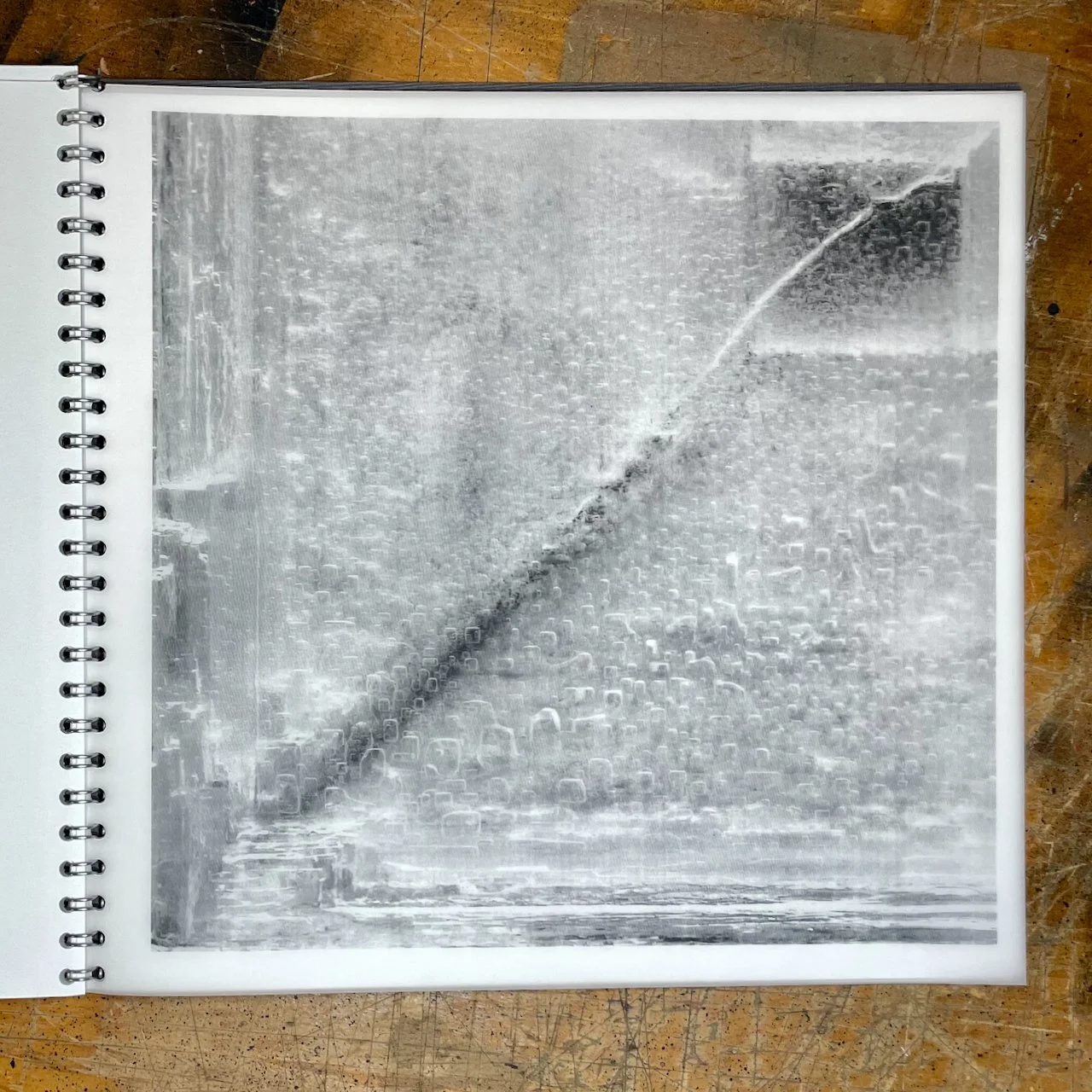 Fenestration (sample page)